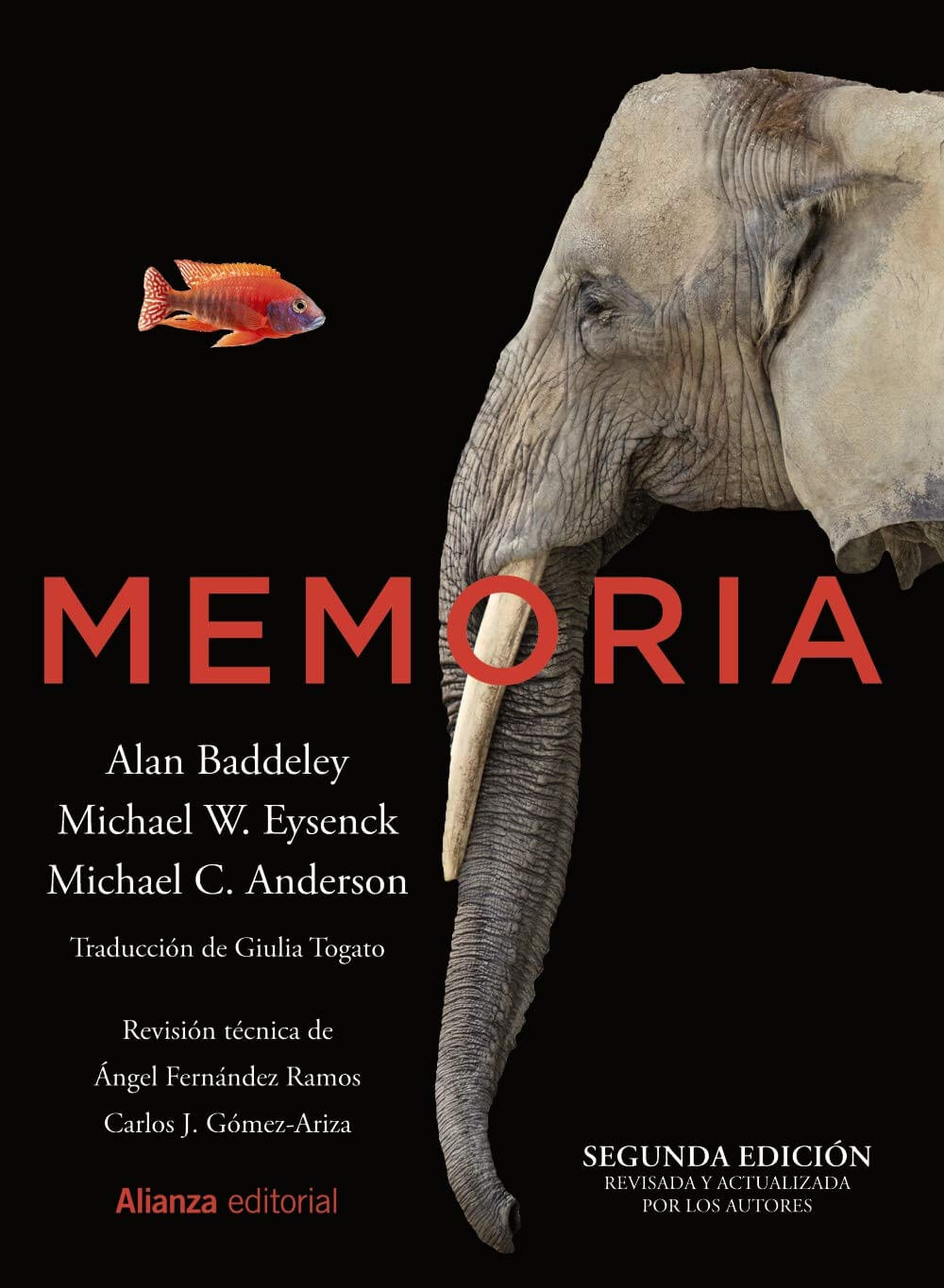 Memoria 2a Ed. ebook