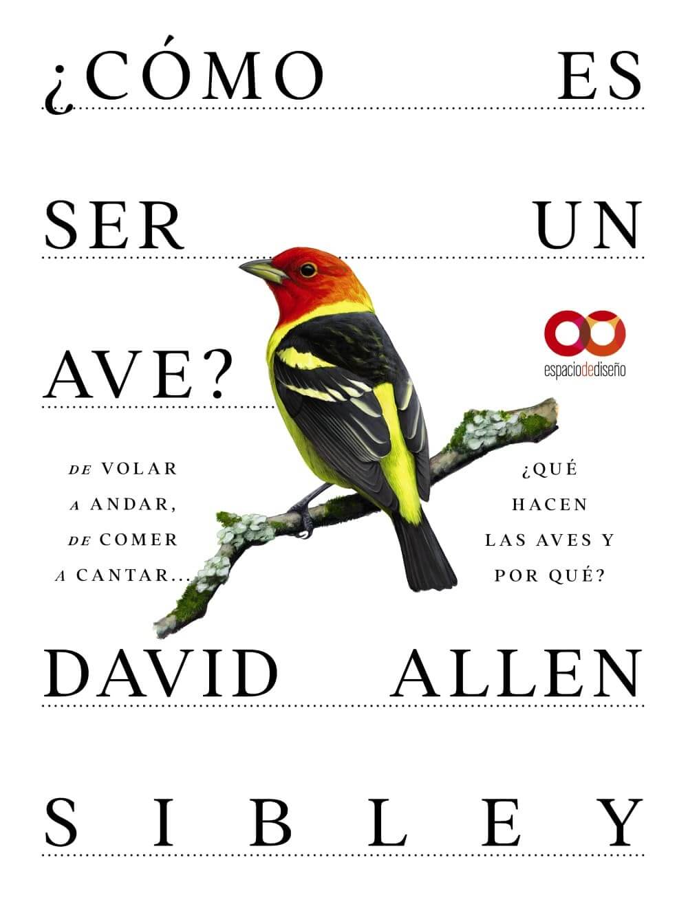 ¿Cómo es ser un ave? De volar a andar, de comer a cantar ¿Qué hacen las aves y por qué?