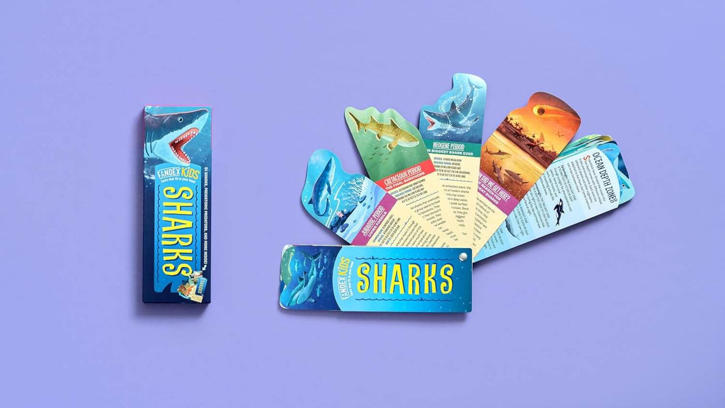 Fandex Kids: Sharks