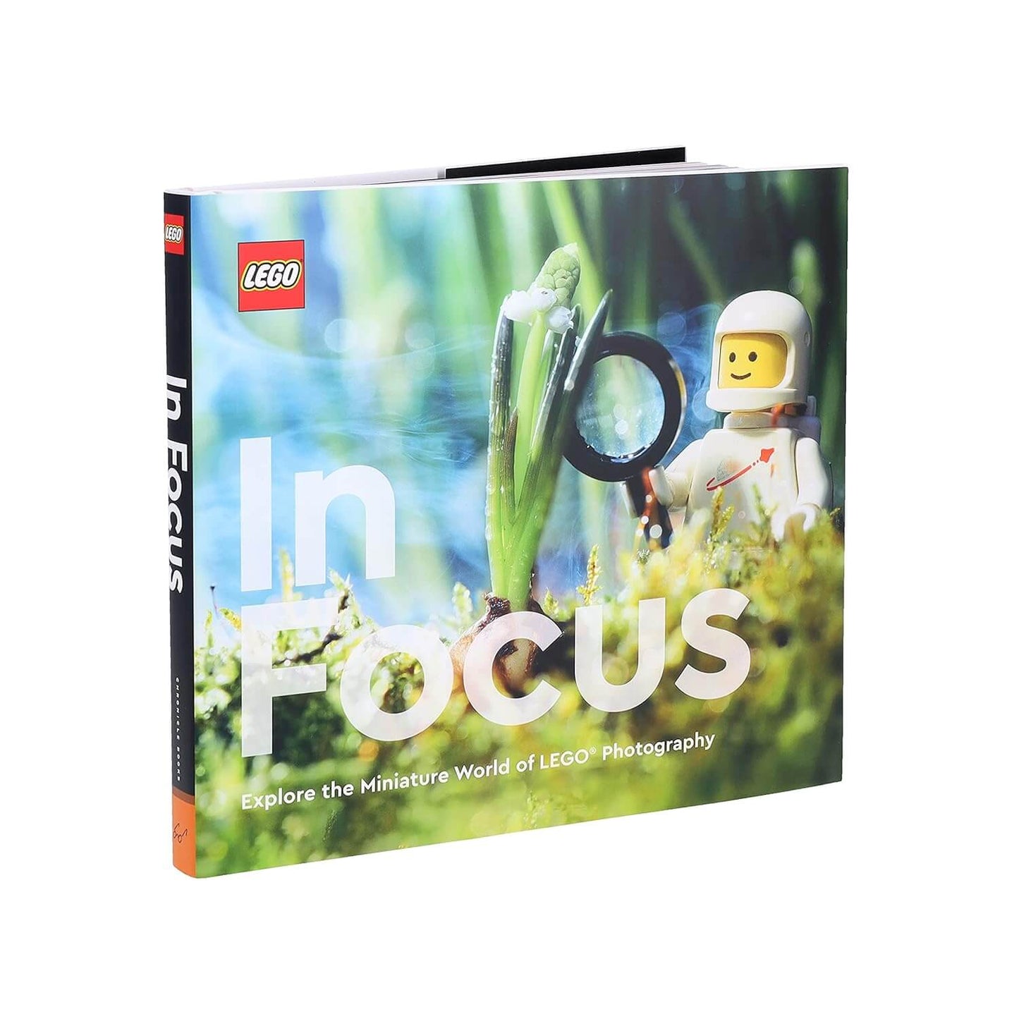 LEGO In Focus