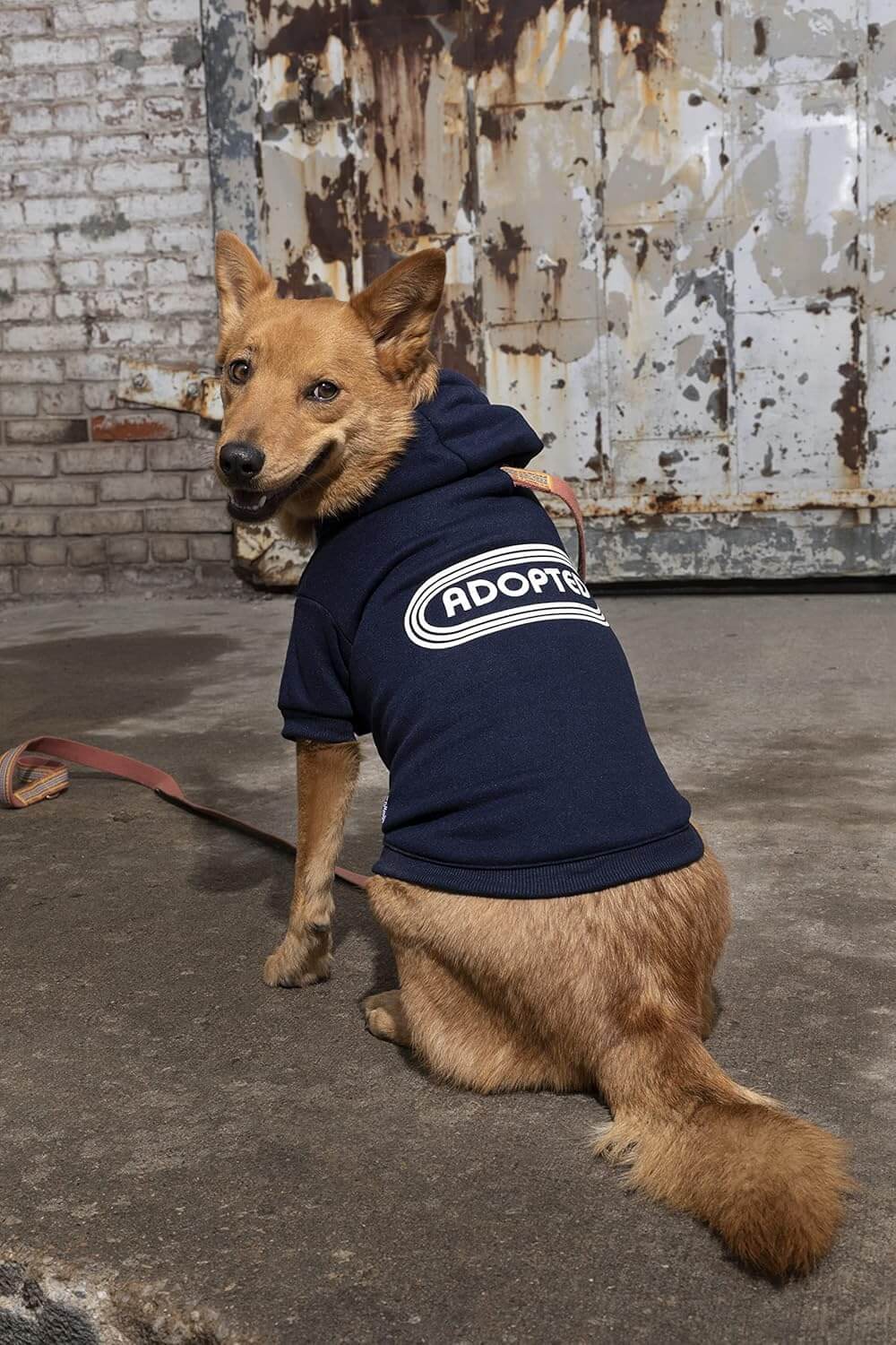 Adopted Dog Hoodie - Sudadera con capucha para perrito tamaño M (Mediano)