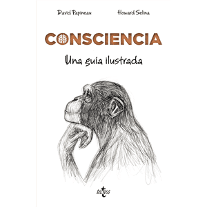 Consciencia