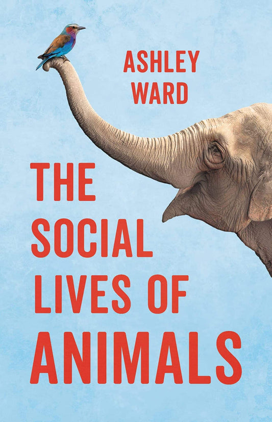 The Social Lives of Animals